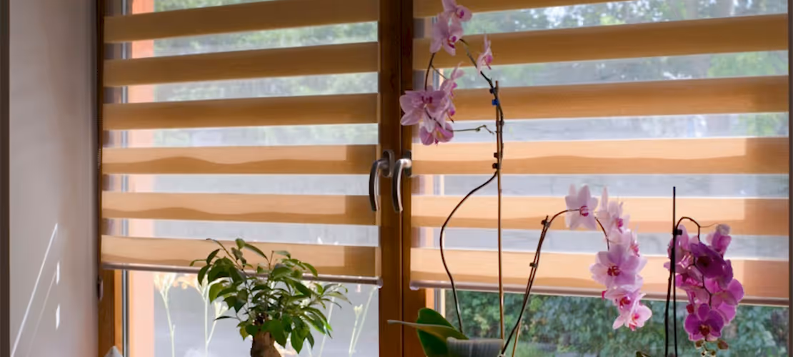 Ankara Zebra Perde Yıkama